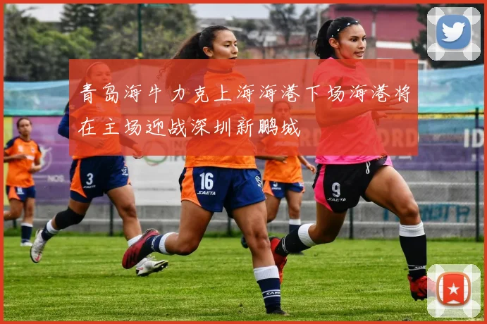 青岛海牛力克上海海港下场海港将在主场迎战深圳新鹏城