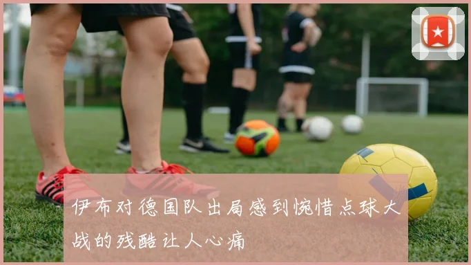 伊布对德国队出局感到惋惜点球大战的残酷让人心痛